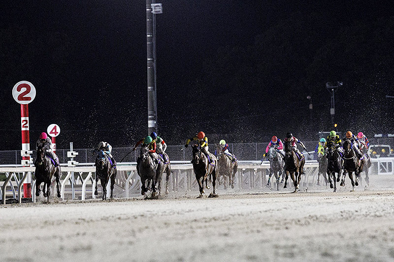 2024年 オーサムリザルト　圧倒的人気にこたえ5馬身差圧勝