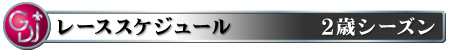 レーススケジュール