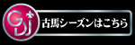 古馬シーズン