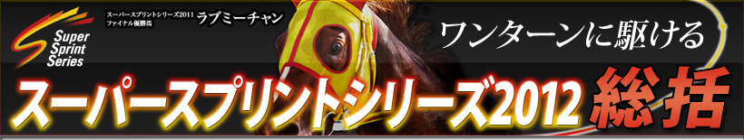 スーパースプリントシリーズ総括 タイトル