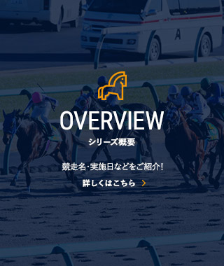 シリーズ概要